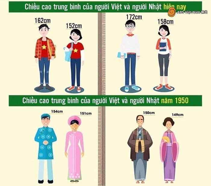 Chiều cao trung bình của người Việt và người NhậtẢnh: Internet