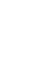 Icon visa