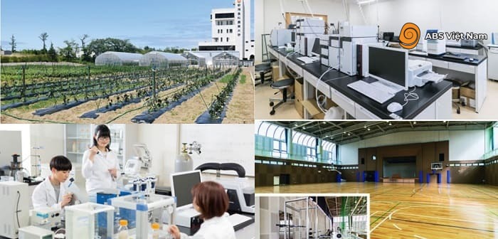 XKLĐ tại Niigata - Khu vực có hệ thống nông nghiệp phát triểnẢnh: Internet