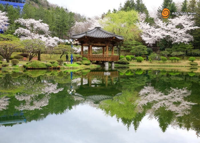 Shukkeien là khu vườn được xây dựng bởi gia tộc Asano