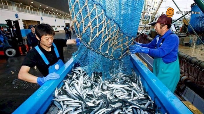Đơn hàng chế biến và nuôi trồng thủy sảnẢnh: Internet