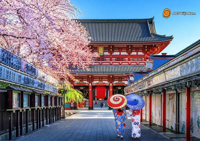 Đền Asakusa Kannon trong mùa hoa anh đàoẢnh: Internet